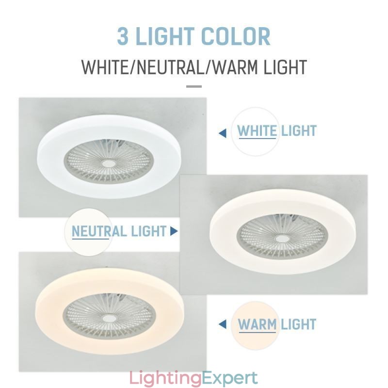 Fan Ceiling Light Trichromatic Dimming 3 Speed Remote Control