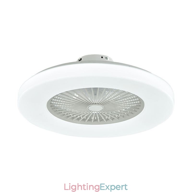 Fan Ceiling Light Trichromatic Dimming 3 Speed Remote Control