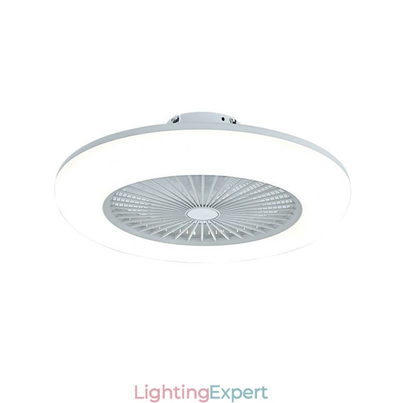 Fan Ceiling Light Trichromatic Dimming with Remote Control 3 Speed