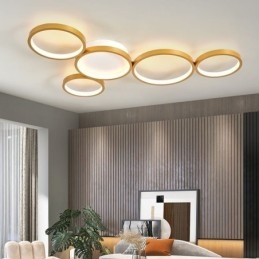 Modern Flush Mount Aluminum Art Ceiling Light