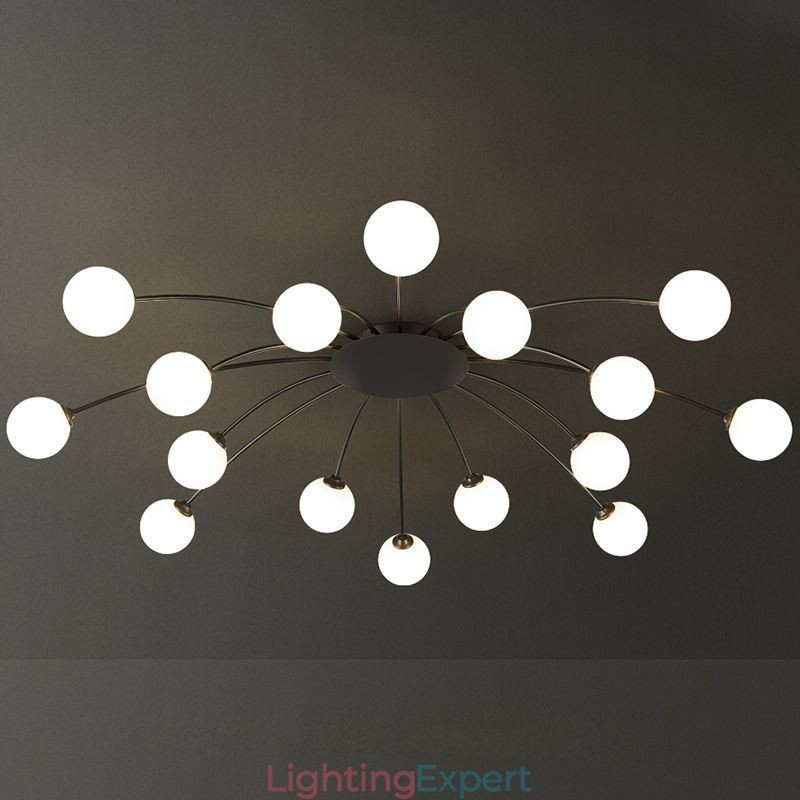 Modern Flush Mount Black Ceiling Light Decorative Light Fixture