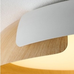 Modern Ceiling Light Acrylic Round Ceiling Light