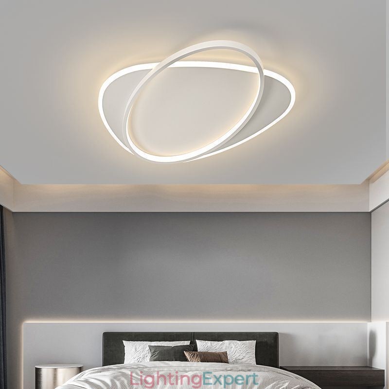 Modern Ceiling Lamp Oval Ceiling Light