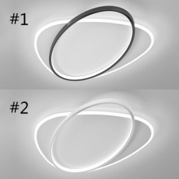 Modern Ceiling Lamp Oval Ceiling Light