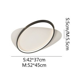 Modern Ceiling Lamp Oval Ceiling Light