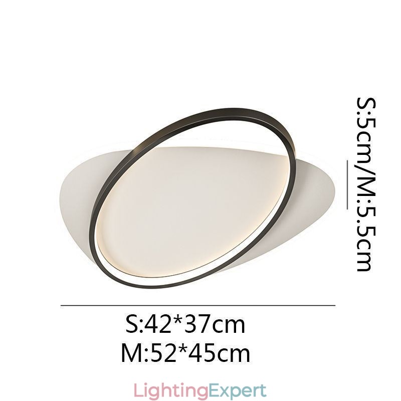 Modern Ceiling Lamp Oval Ceiling Light