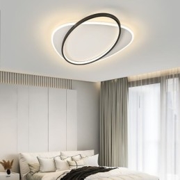 Modern Ceiling Lamp Oval Ceiling Light
