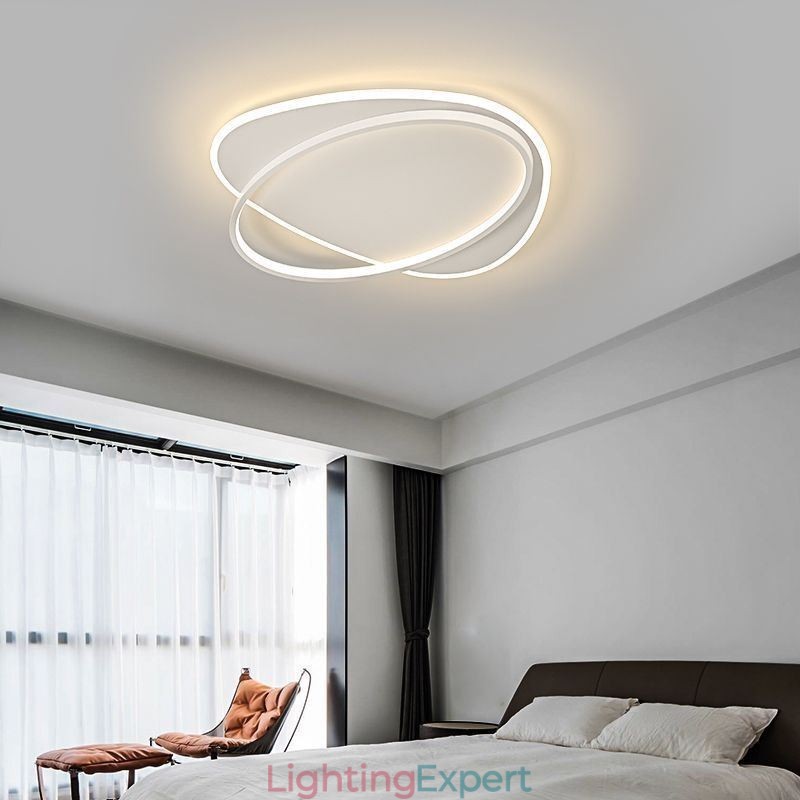 Modern Ceiling Lamp Oval Ceiling Light