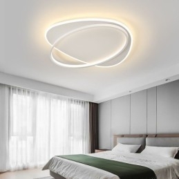 Modern Ceiling Lamp Oval Ceiling Light