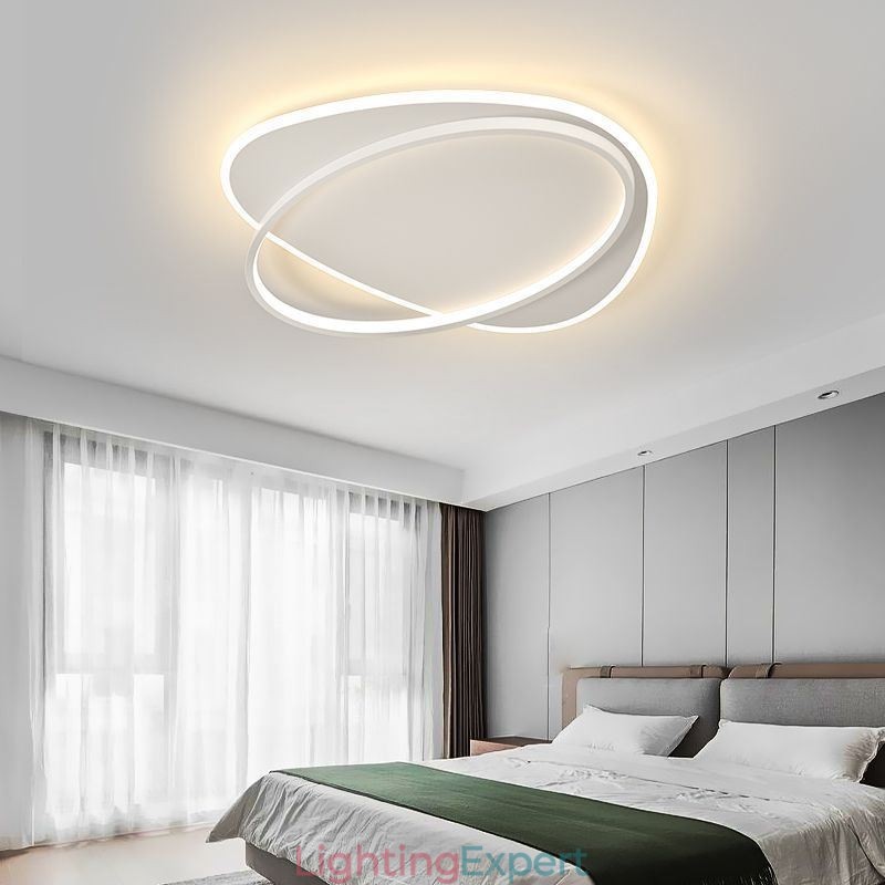 Modern Ceiling Lamp Oval Ceiling Light