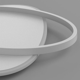 Modern Ceiling Lamp Oval Ceiling Light