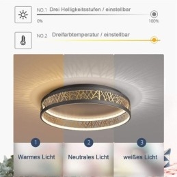Ceiling Light Bird Nest Round Lamp Modern Fixtures