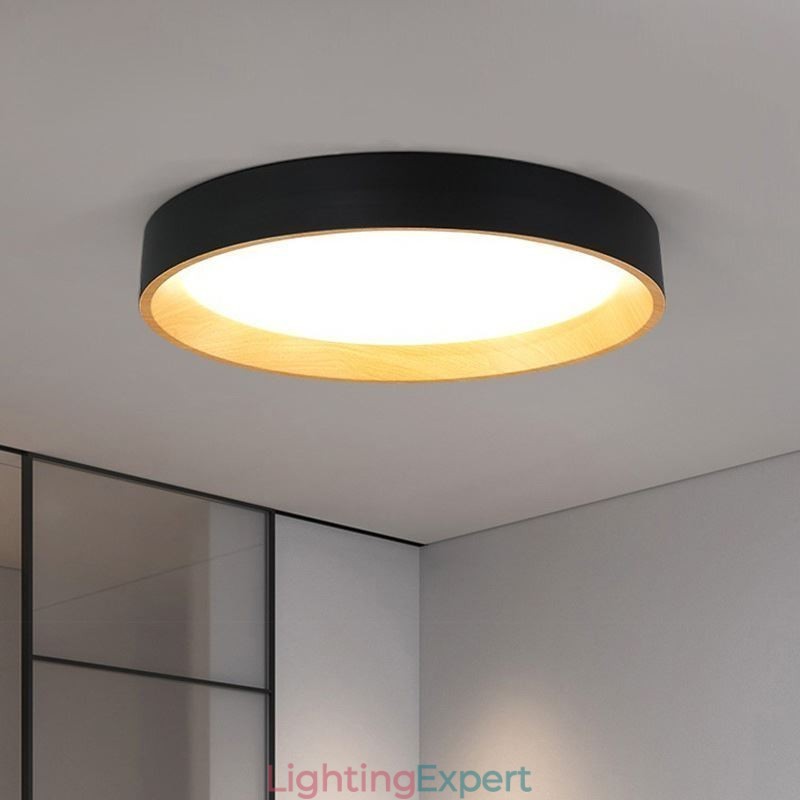 Ceiling Light Modern Minimalist Flush Mount Panel Lamp