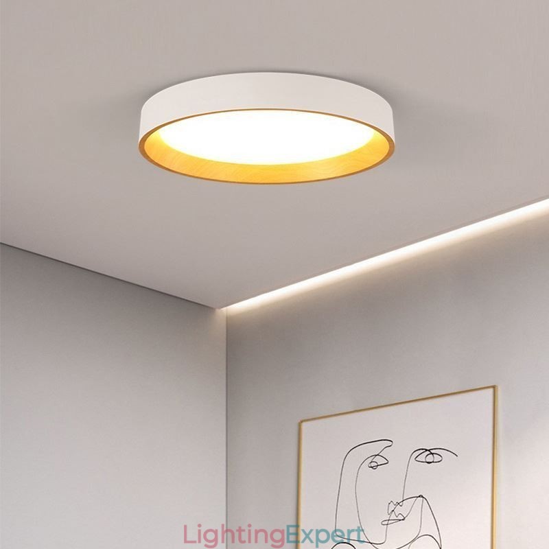 Ceiling Light Modern Minimalist Flush Mount Panel Lamp