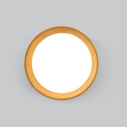 Ceiling Light Modern Minimalist Flush Mount Panel Lamp