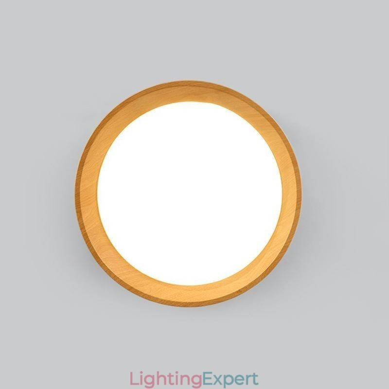 Ceiling Light Modern Minimalist Flush Mount Panel Lamp