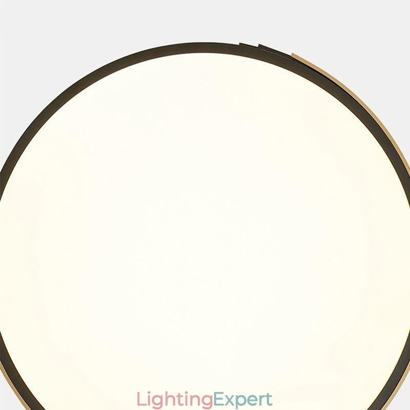Modern Flush Mount Ceiling Light Circle Lighting Lamp