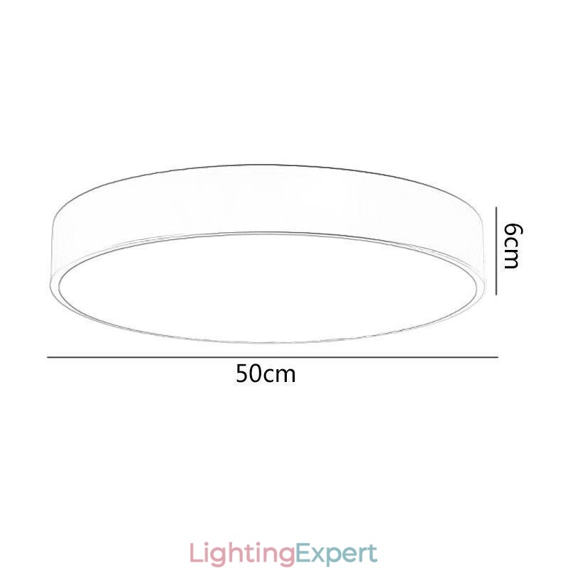 Animal Childrens Ceiling Light Cartoon Ceiling Lamp