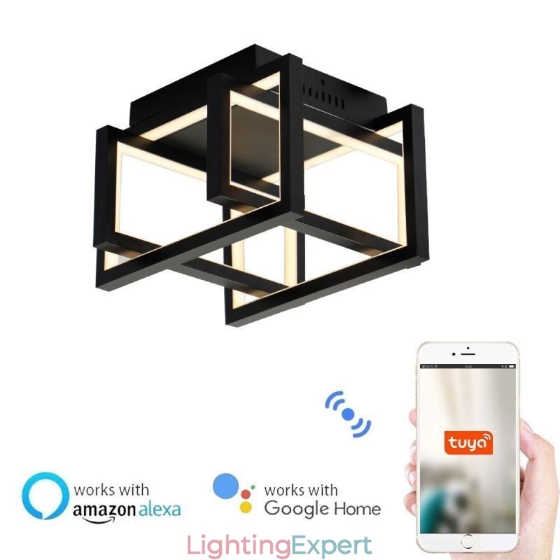 WiFi Smart Ceiling Light Fixture Flush Mount Ceiling Lamp