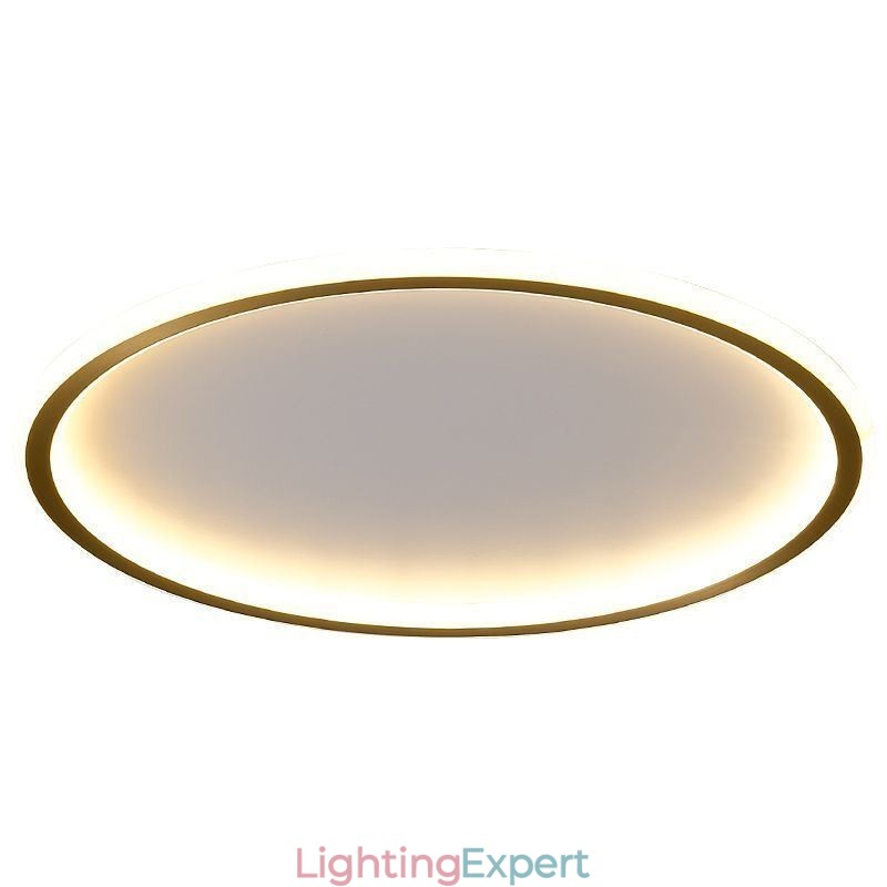 Flush Mount Ceiling Light Round Light Fixtures Tricolor Dimming
