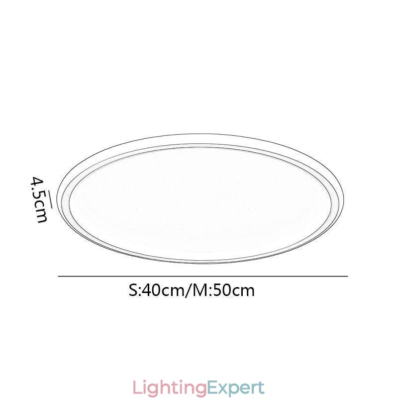 Flush Mount Ceiling Light Round Light Fixtures Tricolor Dimming