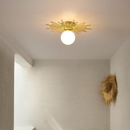 Modern 1 Light Flush Mount Ceiling Light Fixture Globe Ceiling Lamp