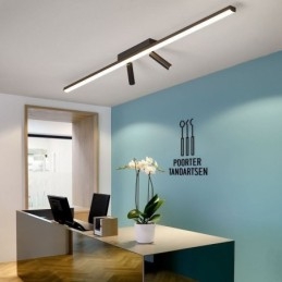 Linear Ceiling Flush Mount Acrylic Spotlight