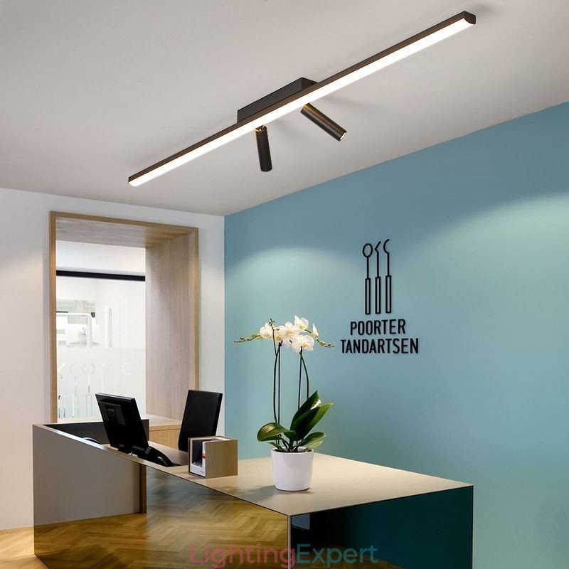 Linear Ceiling Flush Mount Acrylic Spotlight