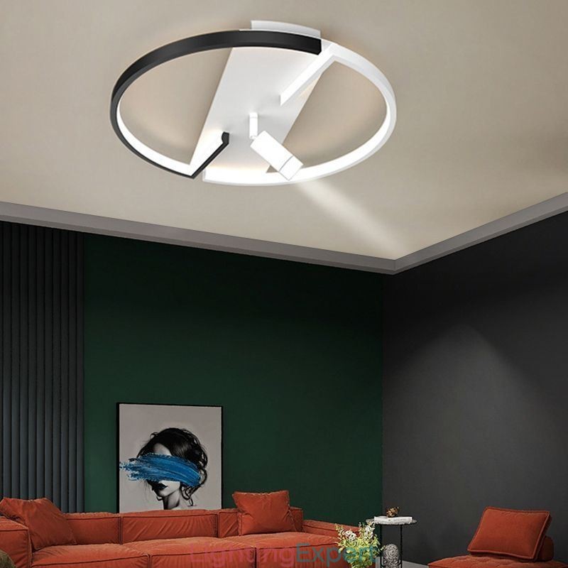 Ceiling Lamp Black & White Acrylic Lighting Spotlight