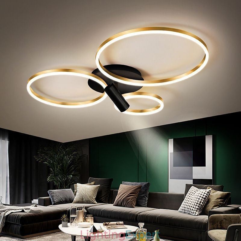 Ceiling Lamp Brushed Gold Halo Ring Lighting Spotlight
