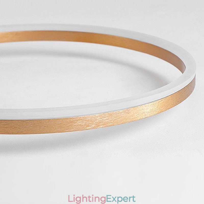 Ceiling Lamp Brushed Gold Halo Ring Lighting Spotlight