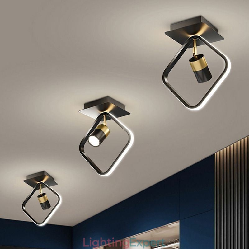 Acrylic Ceiling Lamp Minimalist Decor Light Spotlight