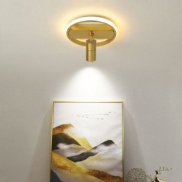 Acrylic Ceiling Lamp Minimalist Decor Light Spotlight