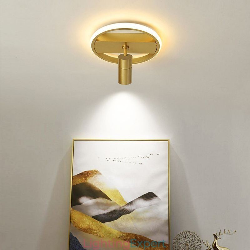 Acrylic Ceiling Lamp Minimalist Decor Light Spotlight