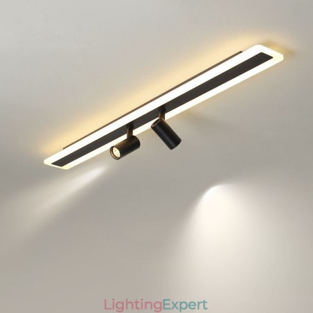 Linear Flush Mount Acrylic Ceiling Lamp Spotlight