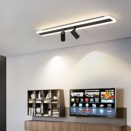 Linear Flush Mount Acrylic Ceiling Lamp Spotlight