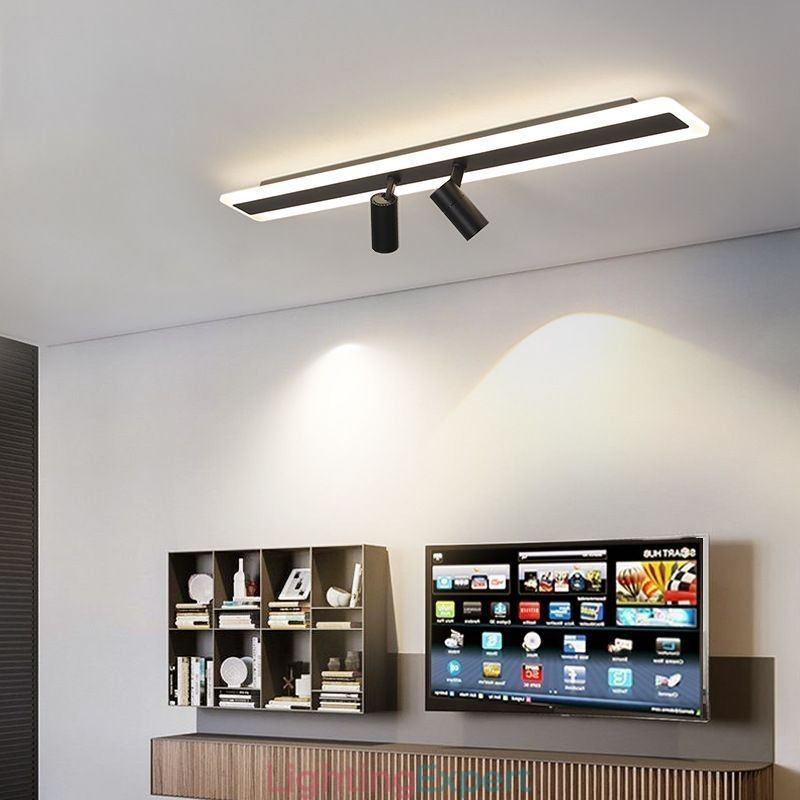Linear Flush Mount Acrylic Ceiling Lamp Spotlight