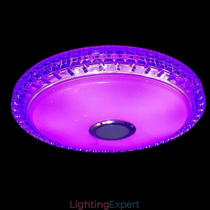 Flush Mount Ceiling Light Remote APP Control Bluetooth Music Speaker Light