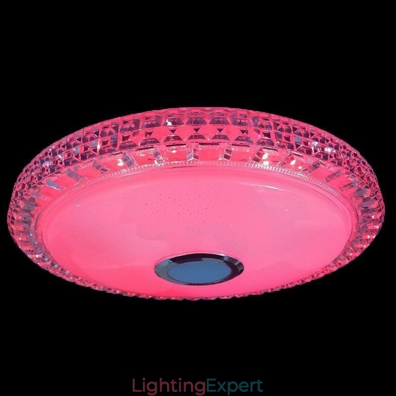 Flush Mount Ceiling Light Remote APP Control Bluetooth Music Speaker Light