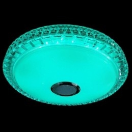 Flush Mount Ceiling Light Remote APP Control Bluetooth Music Speaker Light