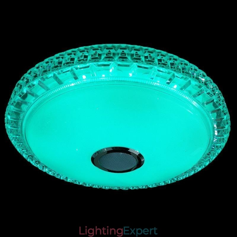 Flush Mount Ceiling Light Remote APP Control Bluetooth Music Speaker Light