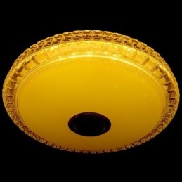 Flush Mount Ceiling Light Remote APP Control Bluetooth Music Speaker Light