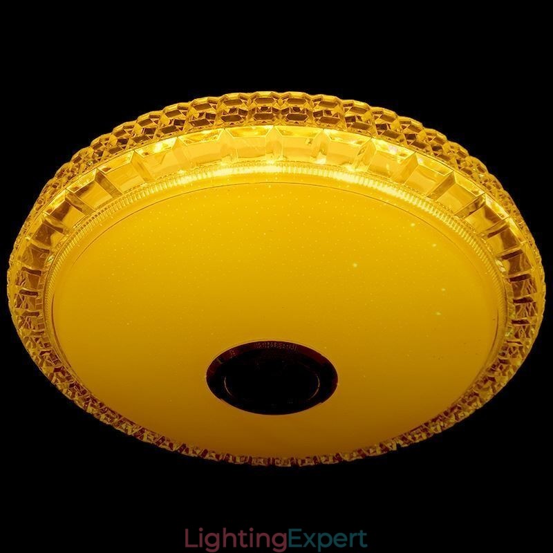 Flush Mount Ceiling Light Remote APP Control Bluetooth Music Speaker Light