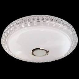 Flush Mount Ceiling Light Remote APP Control Bluetooth Music Speaker Light