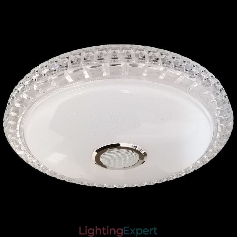 Flush Mount Ceiling Light Remote APP Control Bluetooth Music Speaker Light
