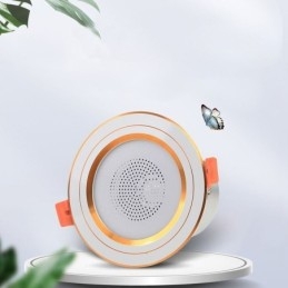 Downlight Bluetooth Music Speaker Lamp Mobile Phone Smart Ceiling Light