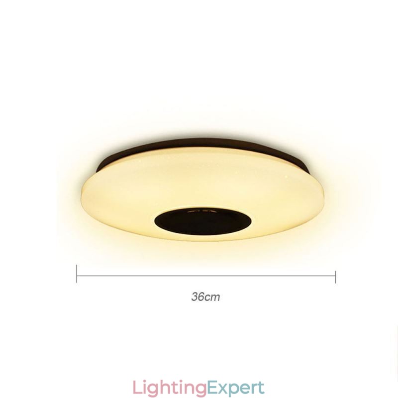 Flush Mount Colorful Ceiling Lamp with Bluetooth Music Speaker Timing Function
