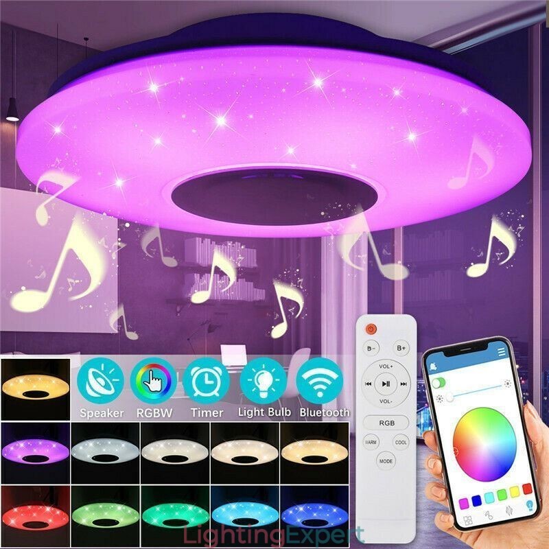 Flush Mount Decorative Lamp Remote APP Control Bluetooth Music Speaker Lamp