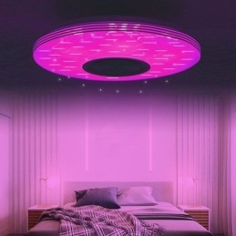 Flush Mount Ceiling Light Decorative Lamp Remote APP Control Bluetooth Music Speaker Lamp