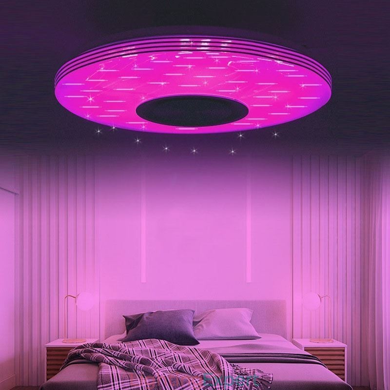 Flush Mount Ceiling Light Decorative Lamp Remote APP Control Bluetooth Music Speaker Lamp